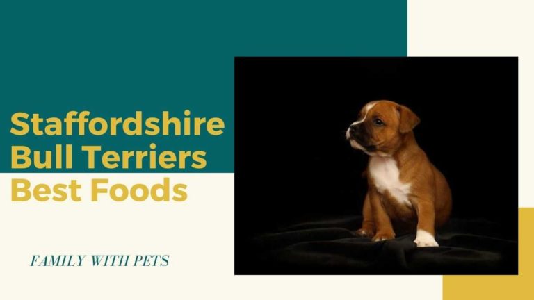 Best Dog Food For Staffordshire Bull Terriers